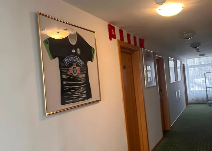 Hotel Hotel Jasmine Brasov